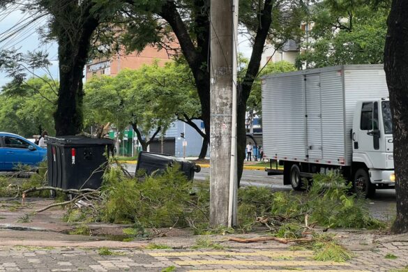 Empreendedores calculam prejuízos após vendaval que passou pelo RS. Cachoeirinha.