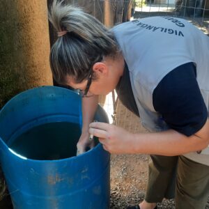 Trabalho da vigilância em saúde de Gravataí. 