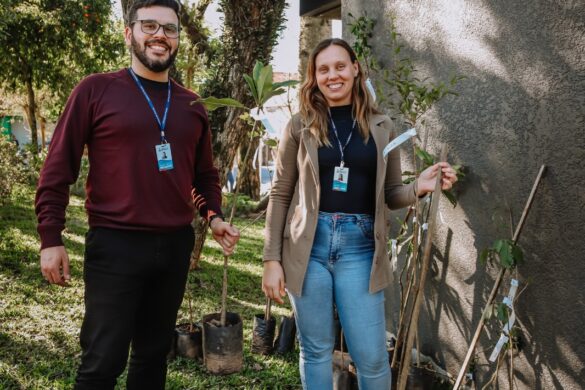 Praça Dom Feliciano recebe novas mudas em ação de arborização em Gravataí