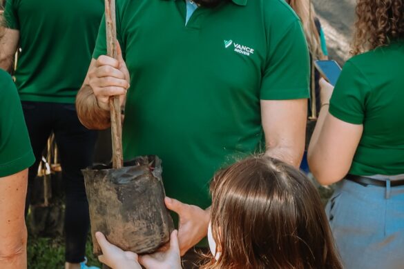 Praça Dom Feliciano recebe novas mudas em ação de arborização em Gravataí