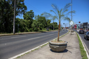 Prefeitura de Cachoeirinha investe mais de R$ 120 mil no paisagismo da Avenida Flores da Cunha