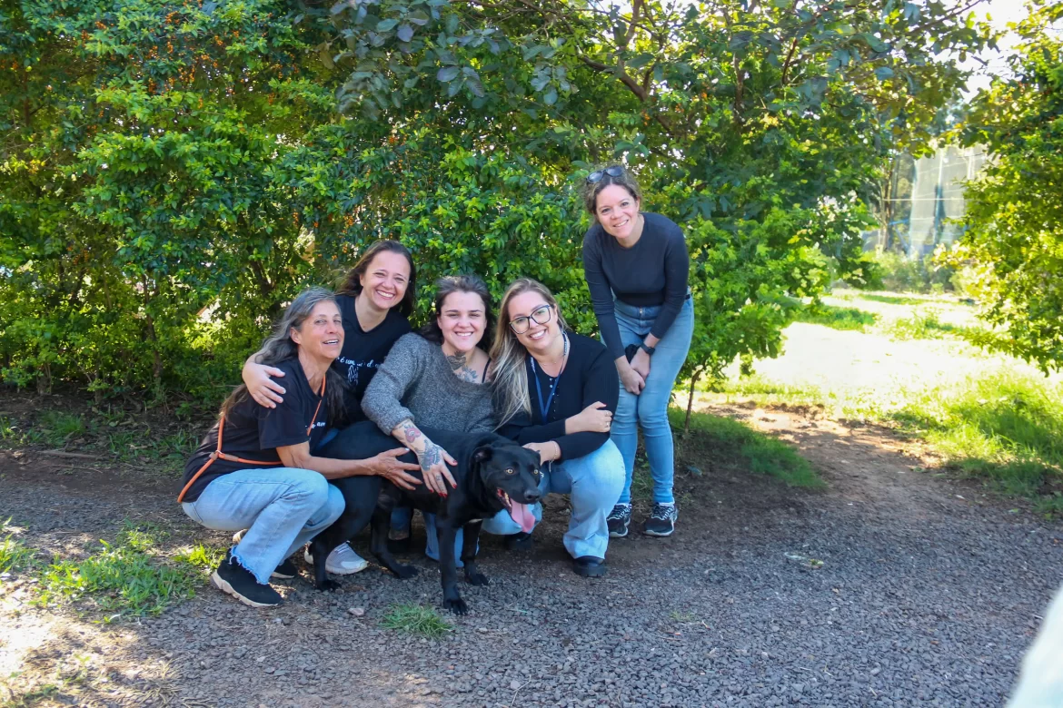 Prefeitura de Canoas amplia prazo e abrigo Palmira Gobbi segue com 23 cães à espera de adoção